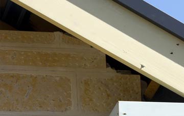 soffit repair Bluetown