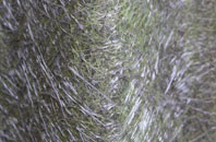 Bluetown fibreglass roof work